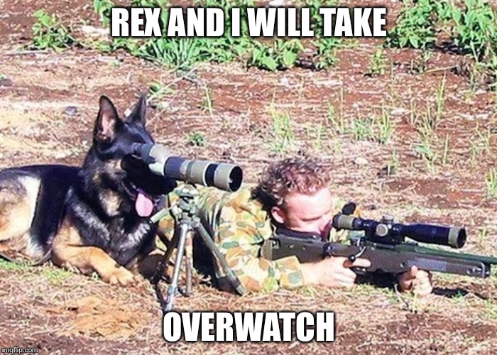 Dog spotter on sniper team | REX AND I WILL TAKE OVERWATCH | image tagged in dog spotter on sniper team | made w/ Imgflip meme maker