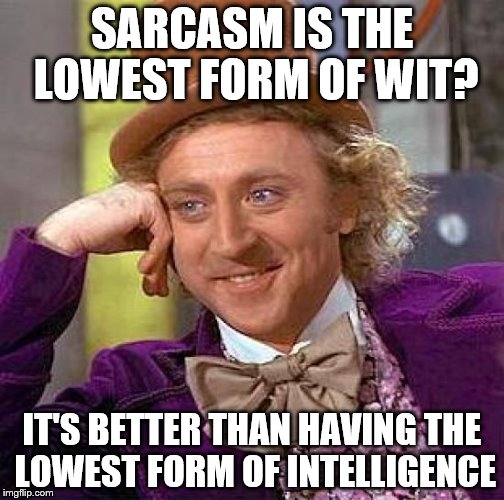 Creepy Condescending Wonka Meme | SARCASM IS THE LOWEST FORM OF WIT? IT'S BETTER THAN HAVING THE LOWEST FORM OF INTELLIGENCE | image tagged in memes,creepy condescending wonka,sarcasm | made w/ Imgflip meme maker
