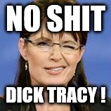 NO SHIT; DICK TRACY ! | image tagged in palin | made w/ Imgflip meme maker