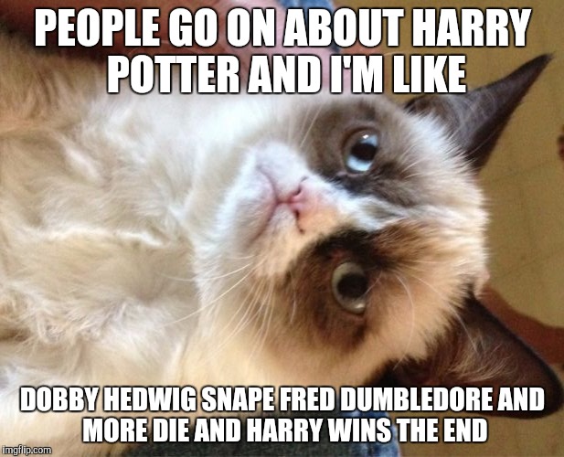 Grumpy Cat | PEOPLE GO ON ABOUT HARRY POTTER AND I'M LIKE; DOBBY HEDWIG SNAPE FRED DUMBLEDORE
AND MORE DIE AND HARRY WINS THE END | image tagged in memes,grumpy cat | made w/ Imgflip meme maker