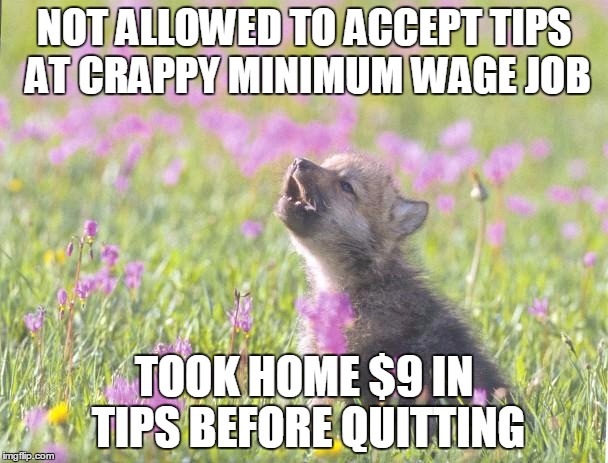 Baby Insanity Wolf Meme | NOT ALLOWED TO ACCEPT TIPS AT CRAPPY MINIMUM WAGE JOB; TOOK HOME $9 IN TIPS BEFORE QUITTING | image tagged in memes,baby insanity wolf,AdviceAnimals | made w/ Imgflip meme maker