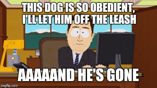 Aaaaand Its Gone | THIS DOG IS SO OBEDIENT, I'LL LET HIM OFF THE LEASH; AAAAAND HE'S GONE | image tagged in memes,aaaaand its gone | made w/ Imgflip meme maker