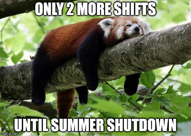Lazy Red Panda | ONLY 2 MORE SHIFTS; UNTIL SUMMER SHUTDOWN | image tagged in lazy red panda | made w/ Imgflip meme maker
