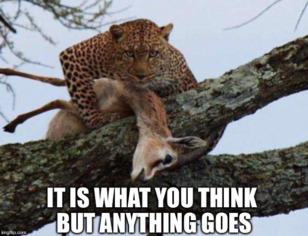 IT IS WHAT YOU THINK BUT ANYTHING GOES | made w/ Imgflip meme maker