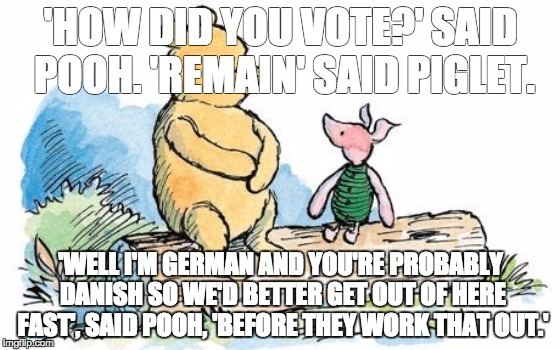 winnie the pooh and piglet | 'HOW DID YOU VOTE?' SAID POOH. 'REMAIN' SAID PIGLET. 'WELL I'M GERMAN AND YOU'RE PROBABLY DANISH SO WE'D BETTER GET OUT OF HERE FAST', SAID POOH, 'BEFORE THEY WORK THAT OUT.' | image tagged in winnie the pooh and piglet | made w/ Imgflip meme maker