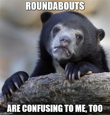 Confession Bear Meme | ROUNDABOUTS ARE CONFUSING TO ME, TOO | image tagged in memes,confession bear | made w/ Imgflip meme maker