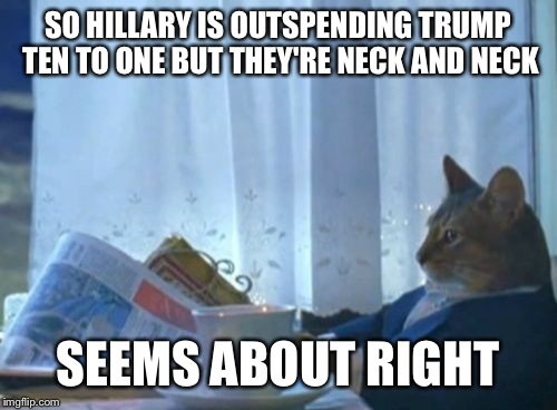I Should Buy A Boat Cat Meme | SO HILLARY IS OUTSPENDING TRUMP TEN TO ONE BUT THEY'RE NECK AND NECK; SEEMS ABOUT RIGHT | image tagged in memes,i should buy a boat cat,wasteful govt spending,donald trump,hillary clinton | made w/ Imgflip meme maker