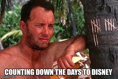 COUNTING DOWN THE DAYS TO DISNEY | image tagged in disney,castaway,countdown | made w/ Imgflip meme maker