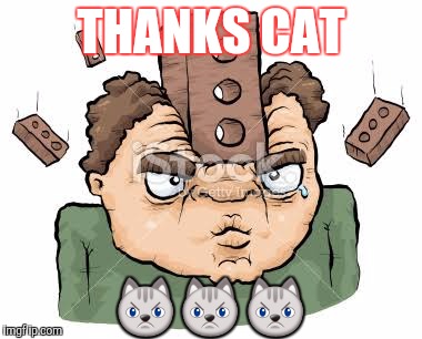 THANKS CAT  | made w/ Imgflip meme maker