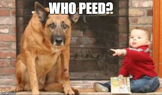 WHO PEED? | made w/ Imgflip meme maker