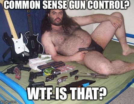 That New Law Wouldn't Require Pants Would It | COMMON SENSE GUN CONTROL? WTF IS THAT? | image tagged in gun control,2nd amendment,democrats,liberals,political meme | made w/ Imgflip meme maker
