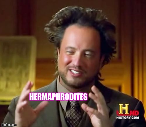 HERMAPHRODITES | image tagged in memes,ancient aliens | made w/ Imgflip meme maker