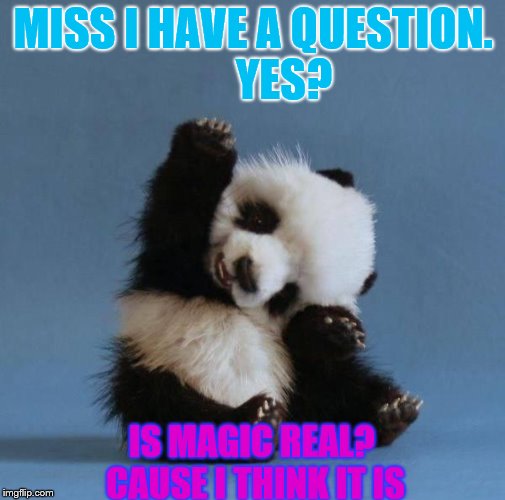 Panda | MISS I HAVE A QUESTION.      
YES? IS MAGIC REAL? CAUSE I THINK IT IS | image tagged in panda | made w/ Imgflip meme maker