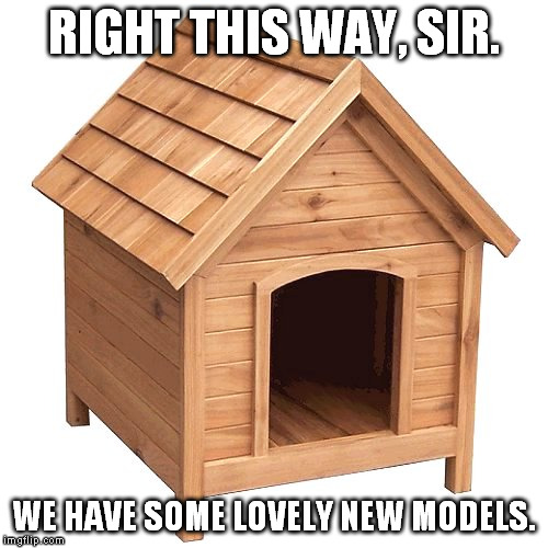 RIGHT THIS WAY, SIR. WE HAVE SOME LOVELY NEW MODELS. | image tagged in new doghouse | made w/ Imgflip meme maker
