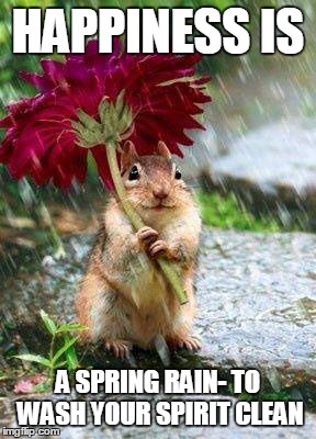 chipmunk with a flower | HAPPINESS IS; A SPRING RAIN- TO WASH YOUR SPIRIT CLEAN | image tagged in spring rain,rain,first rain,chpimunks,nature,giving flowers | made w/ Imgflip meme maker