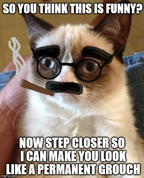 Groucho Cat? | SO YOU THINK THIS IS FUNNY? NOW STEP CLOSER SO I CAN MAKE YOU LOOK LIKE A PERMANENT GROUCH | image tagged in grumpy cat,funny memes | made w/ Imgflip meme maker