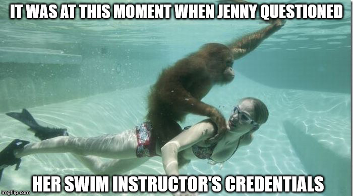 Swimming Lessons | IT WAS AT THIS MOMENT WHEN JENNY QUESTIONED; HER SWIM INSTRUCTOR'S CREDENTIALS | image tagged in funny memes,funny animals | made w/ Imgflip meme maker