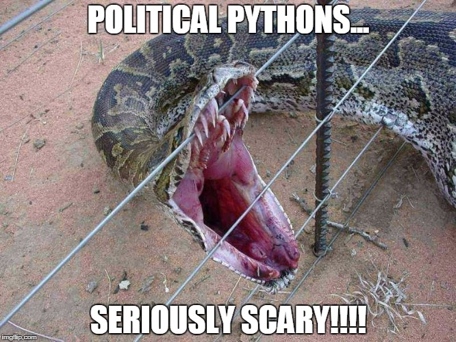 POLITICAL PYTHONS... SERIOUSLY SCARY!!!! | image tagged in python snake on fence | made w/ Imgflip meme maker