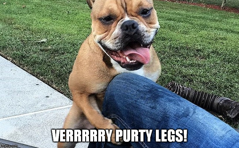 VERRRRRY PURTY LEGS! | made w/ Imgflip meme maker