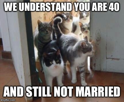 And so a crazy cat lady was born | WE UNDERSTAND YOU ARE 40; AND STILL NOT MARRIED | image tagged in cats,memes,funny | made w/ Imgflip meme maker