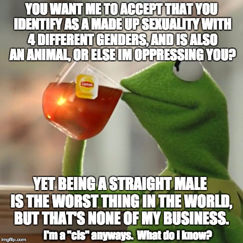 Im sorry for being born | YOU WANT ME TO ACCEPT THAT YOU IDENTIFY AS A MADE UP SEXUALITY WITH 4 DIFFERENT GENDERS, AND IS ALSO AN ANIMAL, OR ELSE IM OPPRESSING YOU? YET BEING A STRAIGHT MALE IS THE WORST THING IN THE WORLD, BUT THAT'S NONE OF MY BUSINESS. I'm a "cis" anyways.  What do i know? | image tagged in memes,but thats none of my business,kermit the frog,transgender,cisgender,trans | made w/ Imgflip meme maker