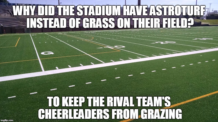 WHY DID THE STADIUM HAVE ASTROTURF INSTEAD OF GRASS ON THEIR FIELD? TO KEEP THE RIVAL TEAM'S CHEERLEADERS FROM GRAZING | image tagged in football stadium astroturf | made w/ Imgflip meme maker