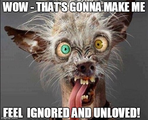 WOW - THAT'S GONNA MAKE ME FEEL  IGNORED AND UNLOVED! | made w/ Imgflip meme maker