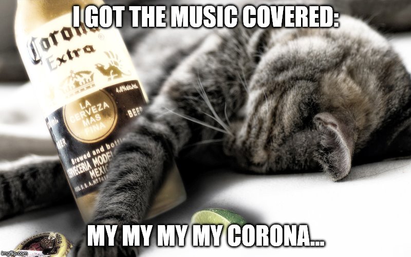I GOT THE MUSIC COVERED: MY MY MY MY CORONA... | made w/ Imgflip meme maker