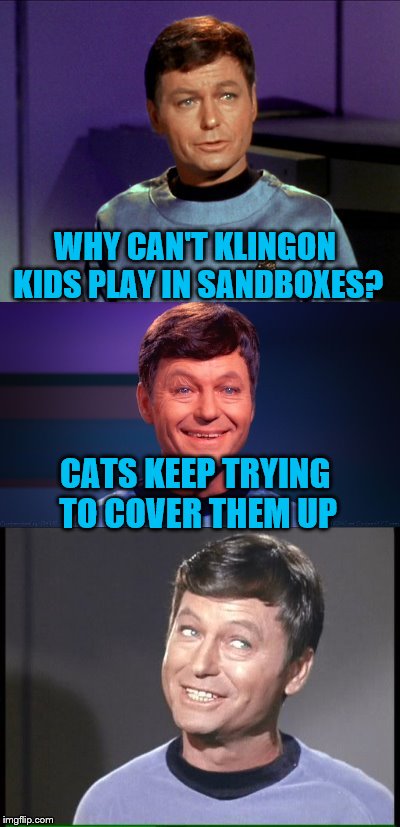 Dammit Jim, I wanna be a stand-up comic, not a doctor.  | WHY CAN'T KLINGON KIDS PLAY IN SANDBOXES? CATS KEEP TRYING TO COVER THEM UP | image tagged in memes,mccoy,start trek | made w/ Imgflip meme maker