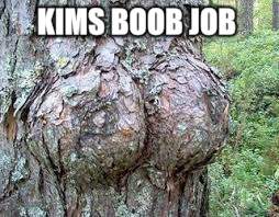 KIMS BOOB JOB | made w/ Imgflip meme maker