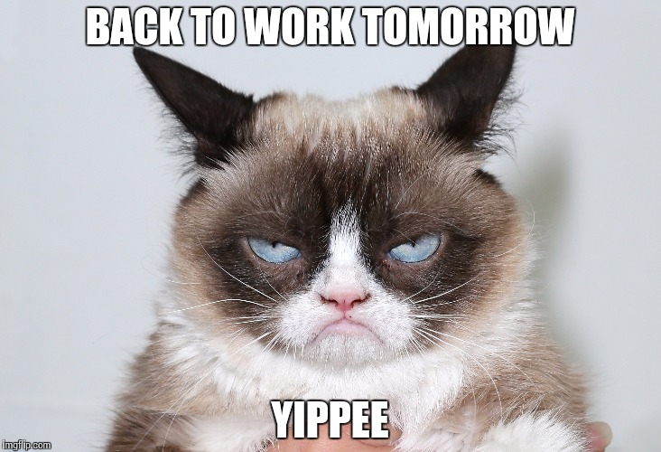 Hate my job |  BACK TO WORK TOMORROW; YIPPEE | image tagged in grumpy cat,fml,work sucks | made w/ Imgflip meme maker