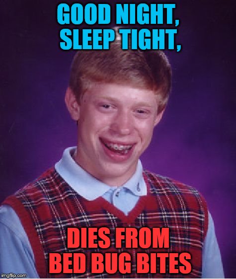 Bad Luck Brian | GOOD NIGHT, SLEEP TIGHT, DIES FROM BED BUG BITES | image tagged in memes,bad luck brian | made w/ Imgflip meme maker