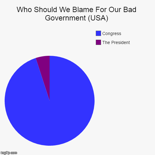 It Bugs Me To See People Blame The President More When We Know For A Fact The Congress Is The One We Should Blame! | image tagged in funny,pie charts,usa,congress,president,government | made w/ Imgflip chart maker