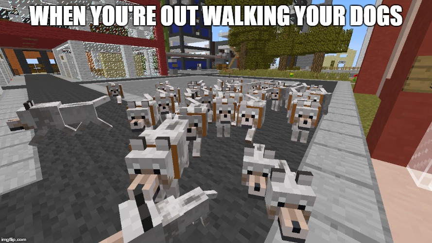 WHEN YOU'RE OUT WALKING YOUR DOGS | made w/ Imgflip meme maker