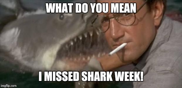 Shark Week | WHAT DO YOU MEAN; I MISSED SHARK WEEK! | image tagged in shark week | made w/ Imgflip meme maker