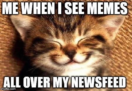 cutekitten | ME WHEN I SEE MEMES; ALL OVER MY NEWSFEED | image tagged in cutekitten | made w/ Imgflip meme maker