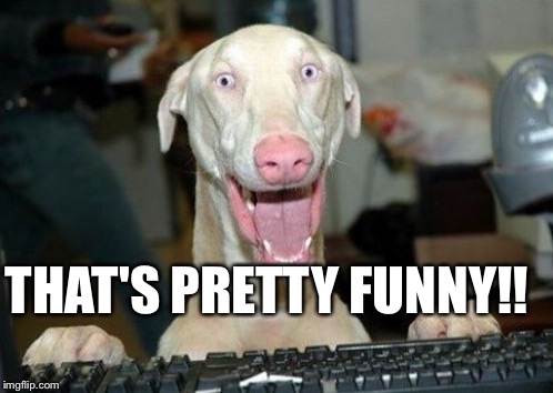Computer Dog | THAT'S PRETTY FUNNY!! | image tagged in computer dog | made w/ Imgflip meme maker