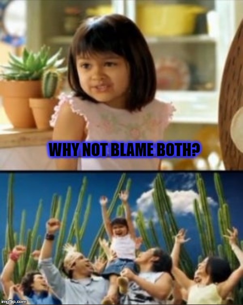 WHY NOT BLAME BOTH? | made w/ Imgflip meme maker