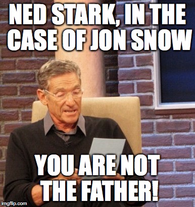 Game of Thrones | NED STARK, IN THE CASE OF JON SNOW; YOU ARE NOT THE FATHER! | image tagged in you are not the father,ned stark,jon snow,game of thrones,stark,got | made w/ Imgflip meme maker