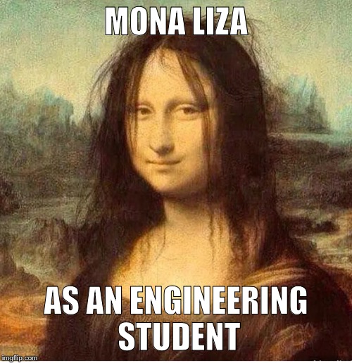 MONA LIZA; AS AN ENGINEERING STUDENT | image tagged in mona lisa | made w/ Imgflip meme maker
