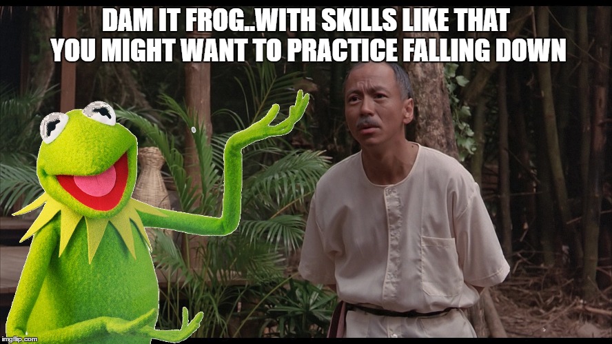 mr nice guy | DAM IT FROG..WITH SKILLS LIKE THAT YOU MIGHT WANT TO PRACTICE FALLING DOWN | image tagged in memes,kermit the frog,kickboxing,the muppets | made w/ Imgflip meme maker