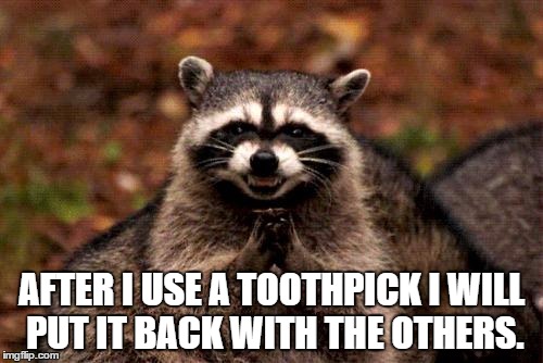 Evil Plotting Raccoon | AFTER I USE A TOOTHPICK I WILL PUT IT BACK WITH THE OTHERS. | image tagged in memes,evil plotting raccoon | made w/ Imgflip meme maker