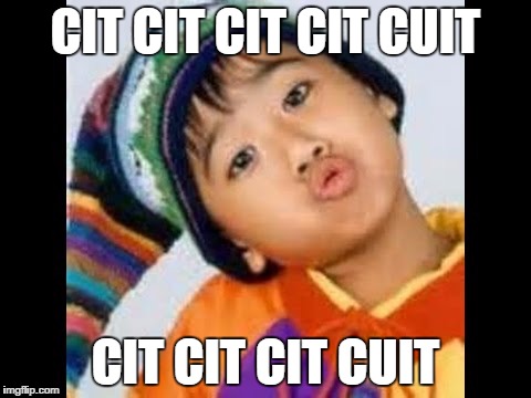 CIT CIT CIT CIT CUIT; CIT CIT CIT CUIT | made w/ Imgflip meme maker