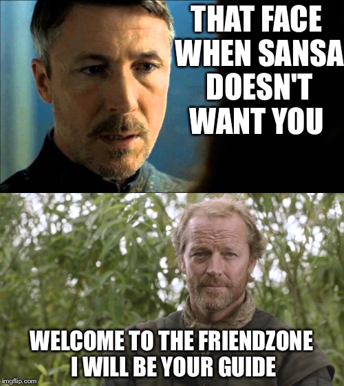 Kings of the friendzone | THAT FACE WHEN SANSA DOESN'T WANT YOU; WELCOME TO THE FRIENDZONE I WILL BE YOUR GUIDE | image tagged in game of thrones,hbo | made w/ Imgflip meme maker