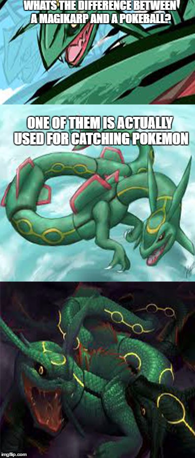 Bad Pun Rayquaza | WHATS THE DIFFERENCE BETWEEN A MAGIKARP AND A POKEBALL? ONE OF THEM IS ACTUALLY USED FOR CATCHING POKEMON | image tagged in bad pun rayquaza | made w/ Imgflip meme maker