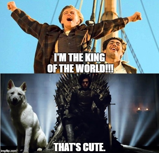 king leo | I'M THE KING OF THE WORLD!!! THAT'S CUTE. | image tagged in titanic,jon snow | made w/ Imgflip meme maker