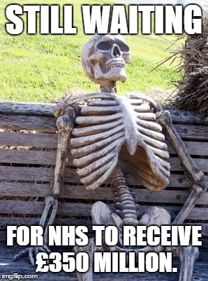 Still......waiting.....stil- | STILL WAITING; FOR NHS TO RECEIVE £350 MILLION. | image tagged in memes,waiting skeleton,brexit,eu referendum,nhs,britain | made w/ Imgflip meme maker