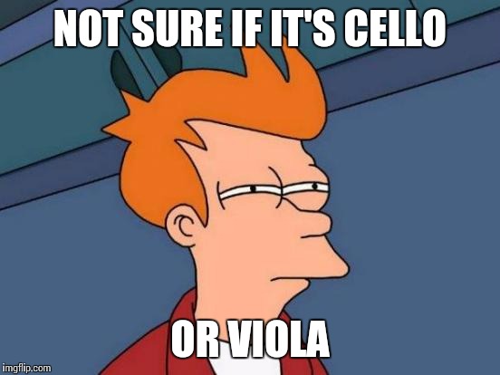 What typical A-Level music students are thinking when listening to recordings | NOT SURE IF IT'S CELLO; OR VIOLA | image tagged in memes,futurama fry,a level,music,viola,cello | made w/ Imgflip meme maker