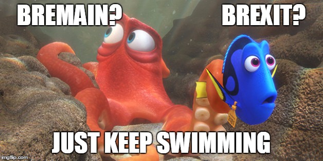 Either/Or Dory | BREMAIN?                      BREXIT? JUST KEEP SWIMMING | image tagged in dory | made w/ Imgflip meme maker