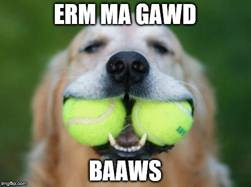 ERM MA GAWD BAAWS | made w/ Imgflip meme maker